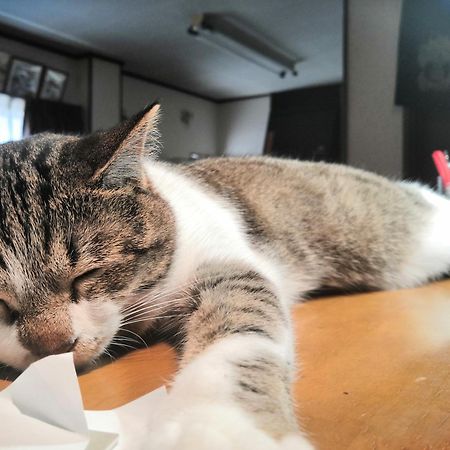 Tiny Guesthouse Umekoji 梅小路 Kyoto Bagian luar foto