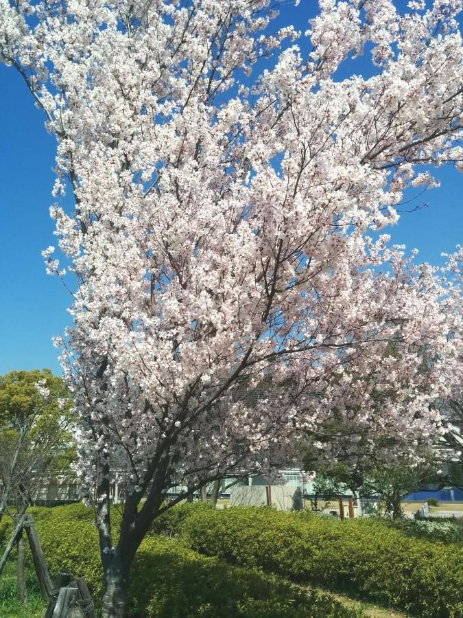 Tiny Guesthouse Umekoji 梅小路 Kyoto Bagian luar foto